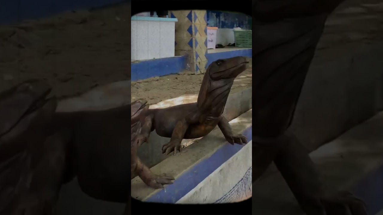 Banyak Komodo di Pulau ini 