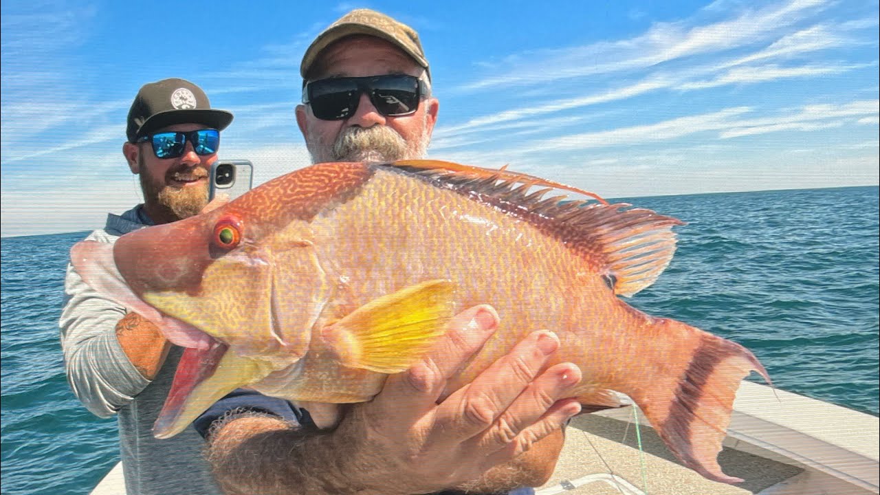 Insane Tampa Bay hogfish bite!!(multiple keepers)