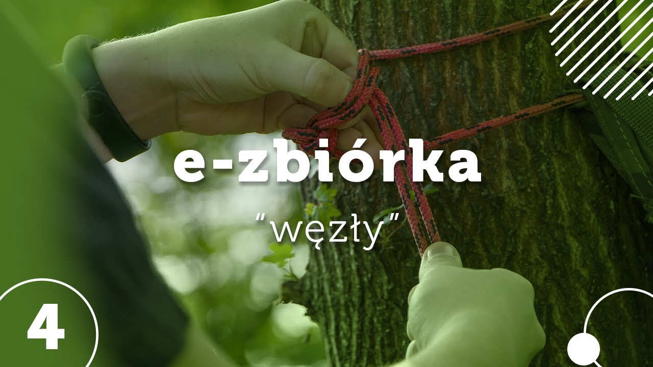 E-zbiórka 