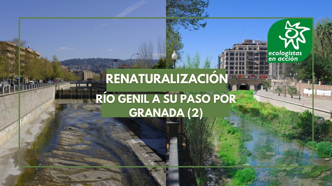 Renaturalización del Río Genil a su paso por Granada (2)