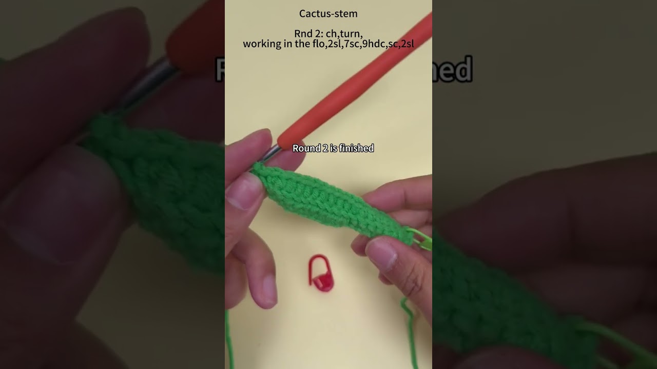 3 Cactus Stem