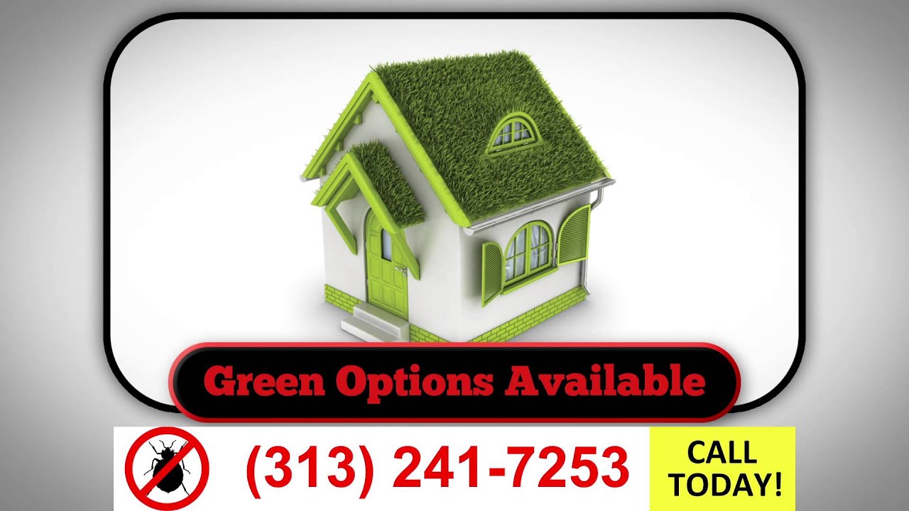 24 Hour Emergency Pest Control Detroit MI | (313) 241-7253