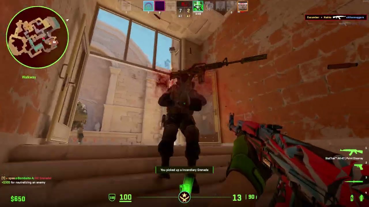 CS2 Clips #70
