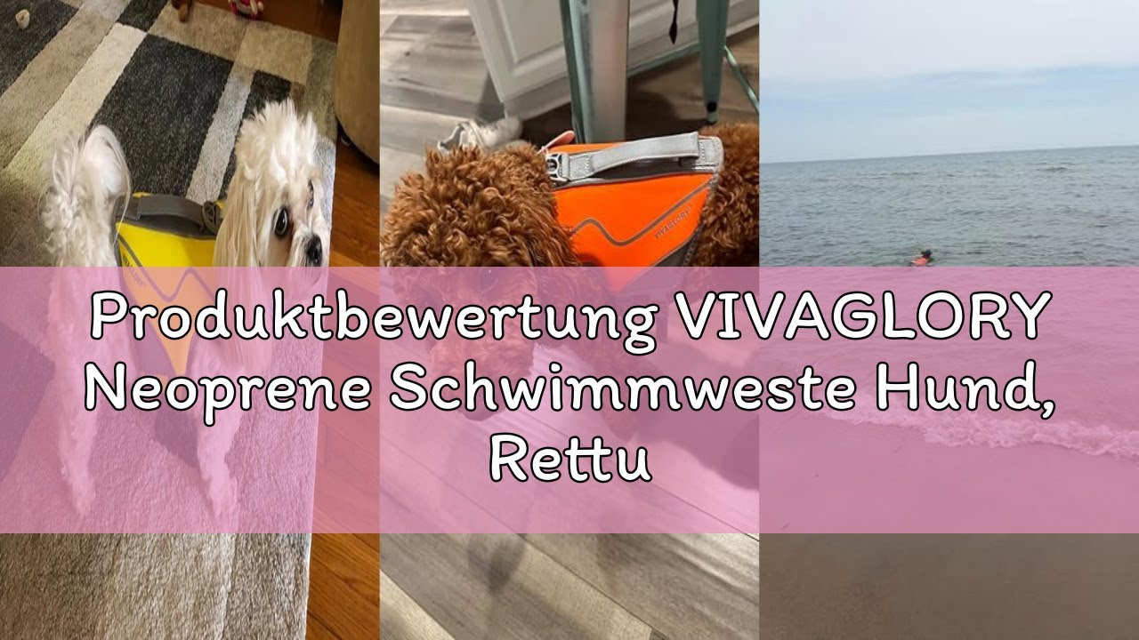 Produktbewertung VIVAGLORY Neoprene Schwimmweste Hund, Rettungsweste Hund für Bootfahren, Schwimmwes