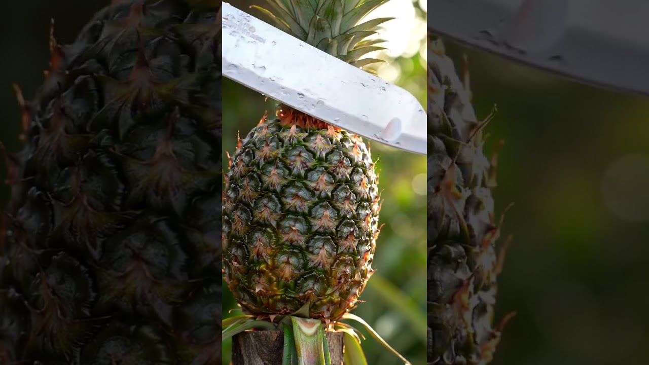 Purple Pineapple Cutting 🍍 Rare Tropical Fruit  #Shorts #asmr