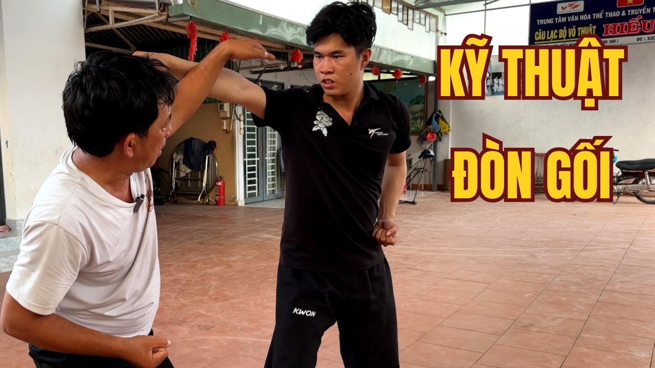 Võ Cổ Truyền Việt Nam, Hướng Dẫn Kỹ Thuật Sử Dụng Đòn Gối