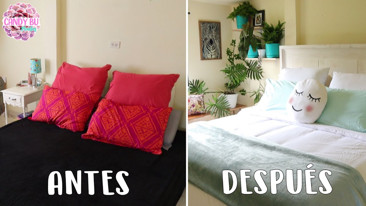 ¡CAMBIO EXTREMO! De habitación aburrida a oasis de plantas y mi esposo hace una cama │ Candy Bu