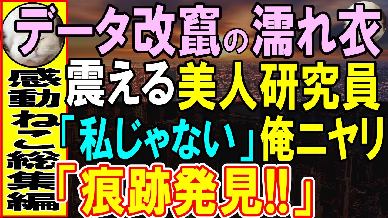 【感動する話】濡れ衣を着せられてクビ寸前の美人社員「私は無実です」俺「ここ、おかしい…」彼女の〇〇を熟知している俺が深掘りし真実を暴いた結果【いい話・泣ける話・スカッと・朗読】