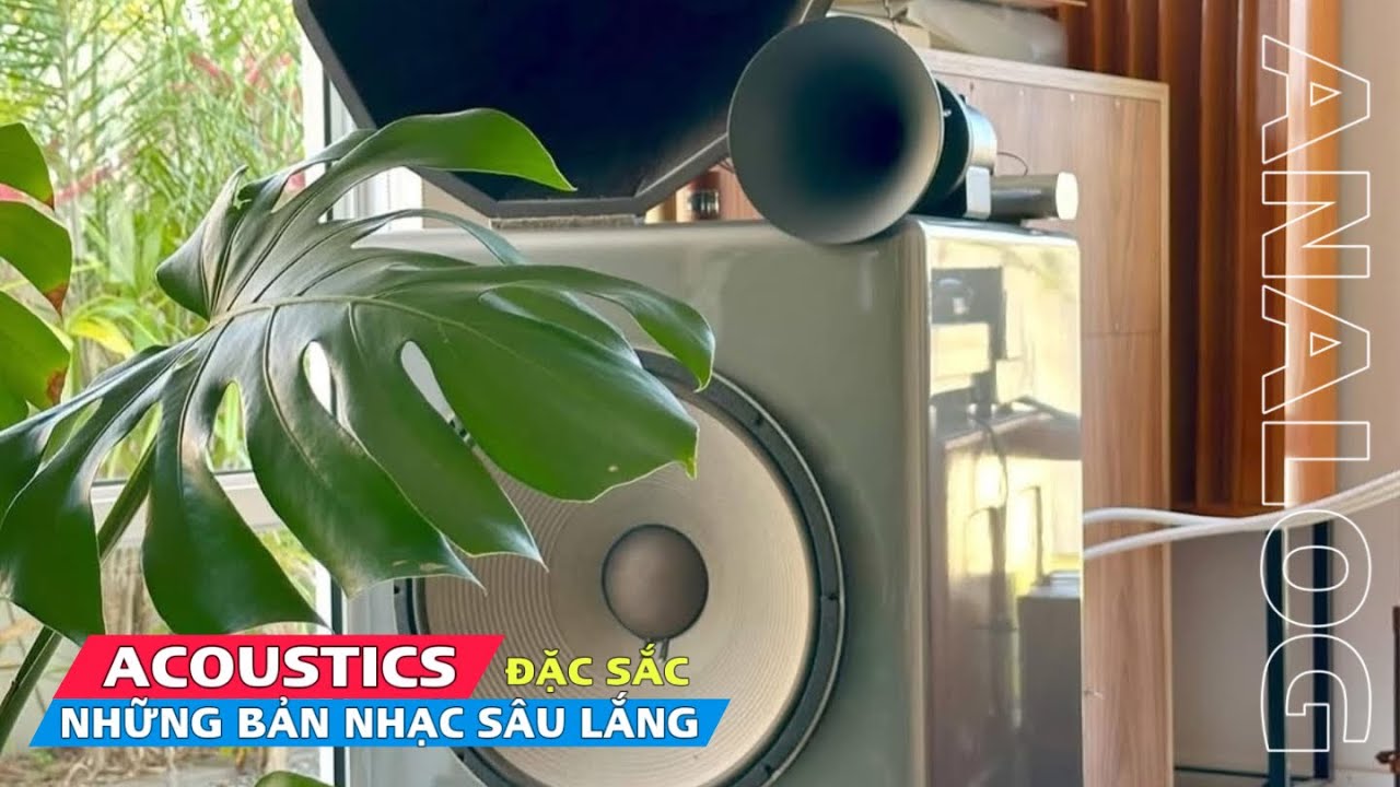 ACOUSTICS NHỮNG CA KHÚC SÂU LẮNG ĐẶC SẮC / ANALOG / NHẠC TEST LOA