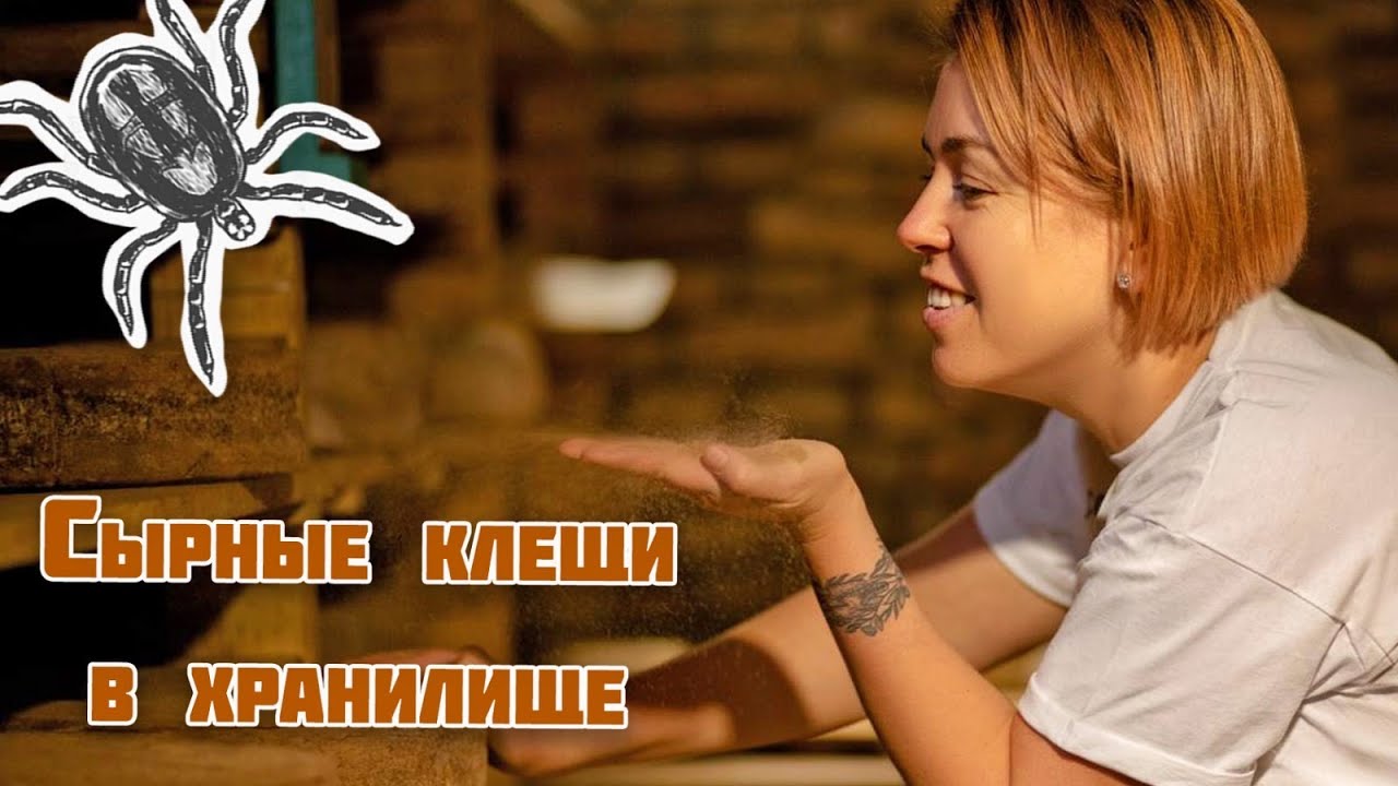 🕷 Сырные клещи в хранилище🧀