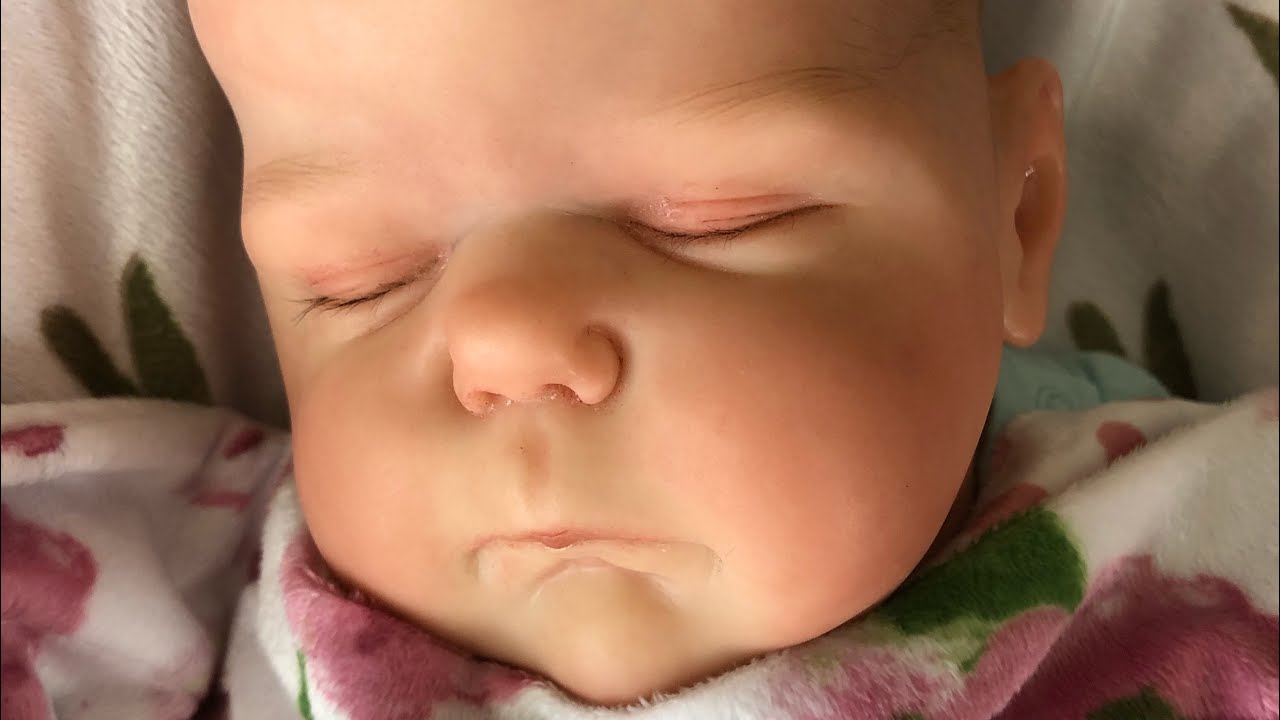 Babysitting My Friend’s Reborn Baby!