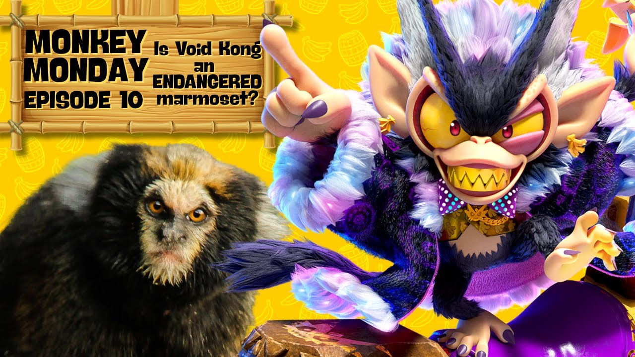Is Void Kong an ENDANGERED marmoset?