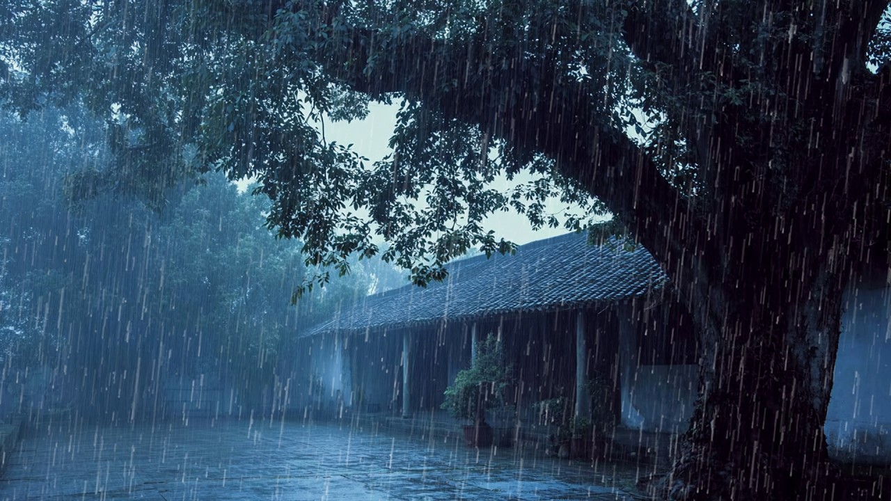 Sonido de Lluvia Para Dormir y Calma la mente 🌧 Ruido de Lluvia Para un Sue&ntilde;o Profundo, ASMR #129