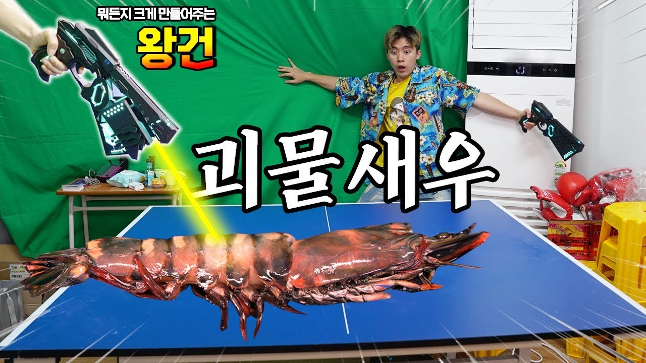 뭐든지 크게 만들어주는 왕건으로 괴물새우 만들어 버렸습니다! - 허팝 (킹타이거새우 1000도 소금구이)