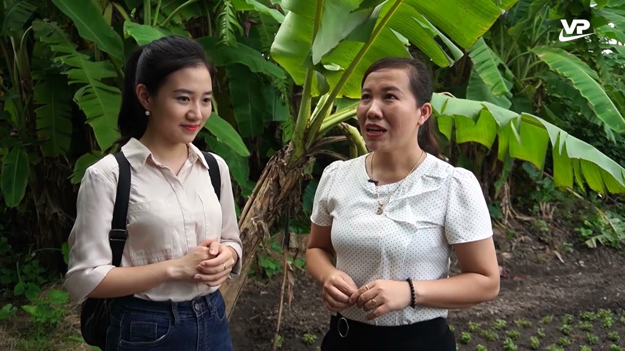 Một ngày ở Di tích khảo cổ Đồng Đậu
