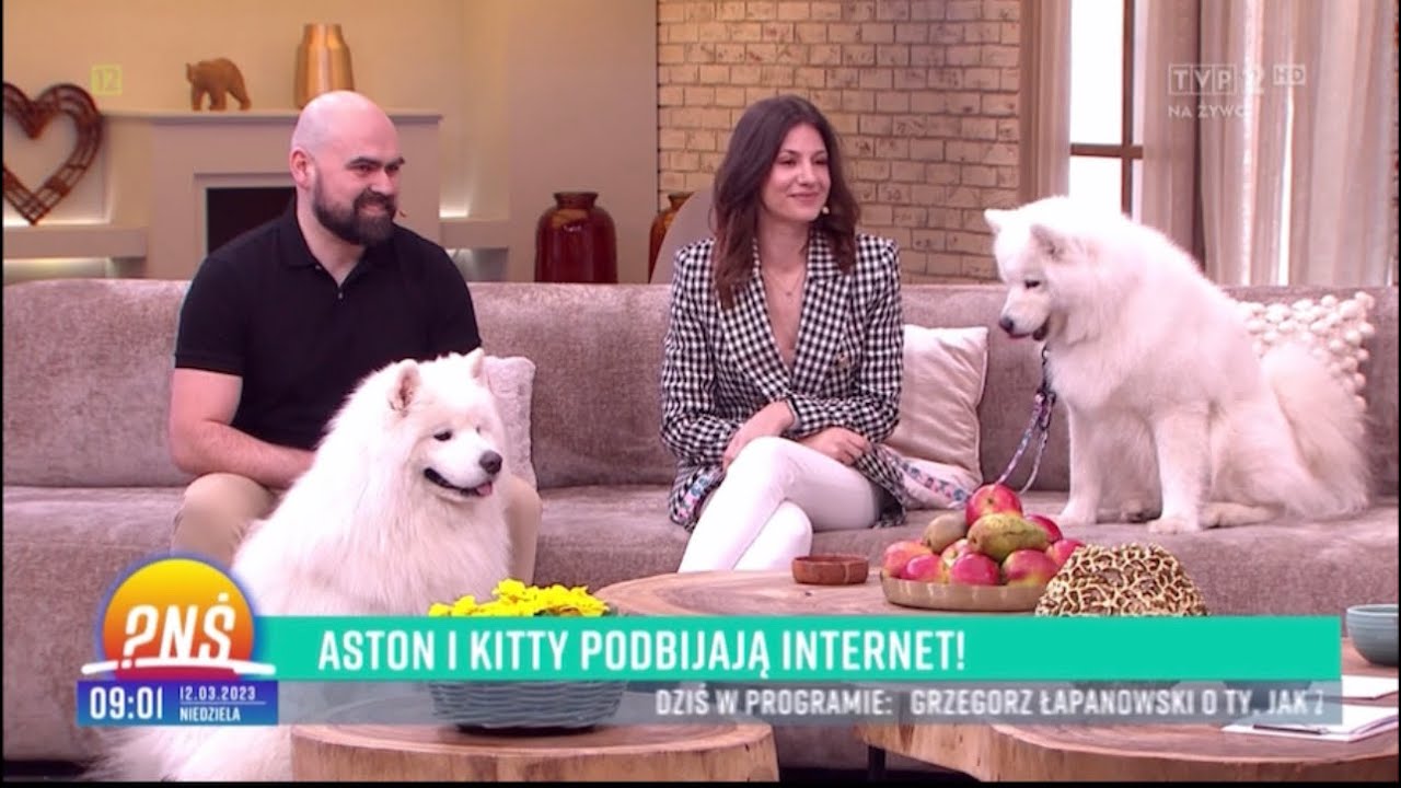 Aston i Kitty w Pytanie na śniadanie