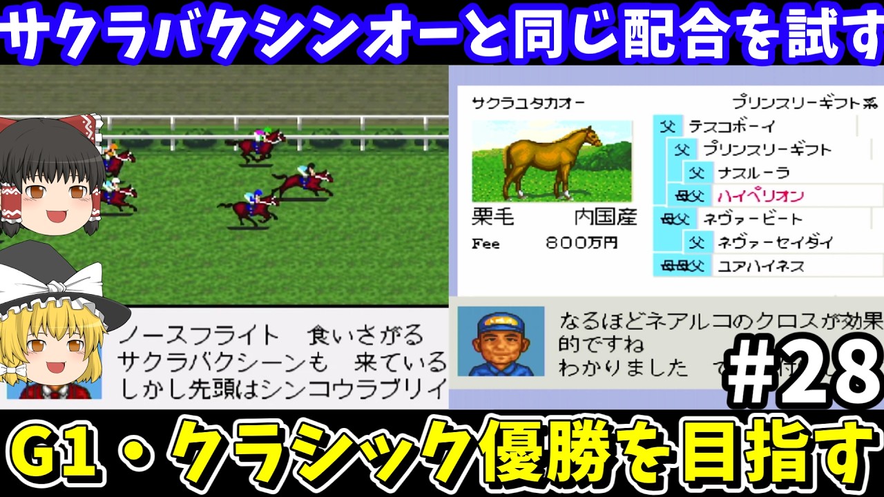 【ダビスタ96】サクラバクシンオーと同じ配合（サクラユタカオー&times;ミルキーテースト）を試す！ダービースタリオン96【レトロゲームゆっくり実況】
