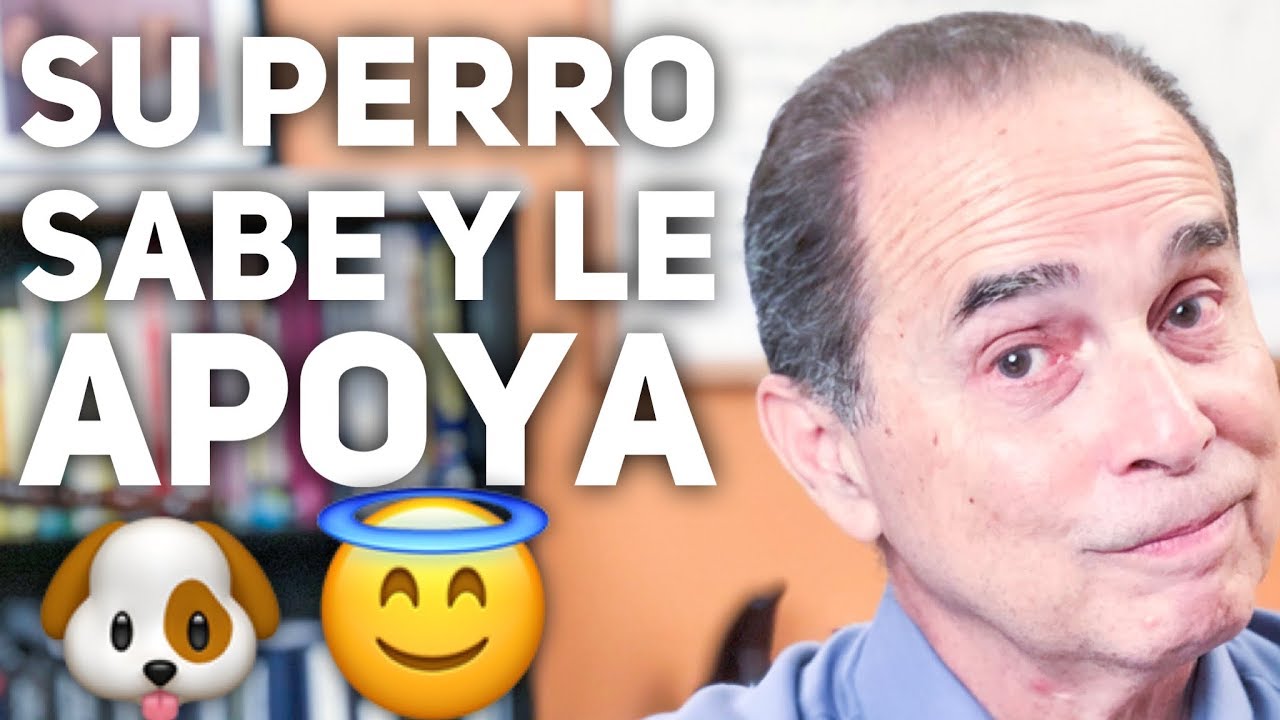Episodio #1696 Su Perro Sabe Y Le Apoya