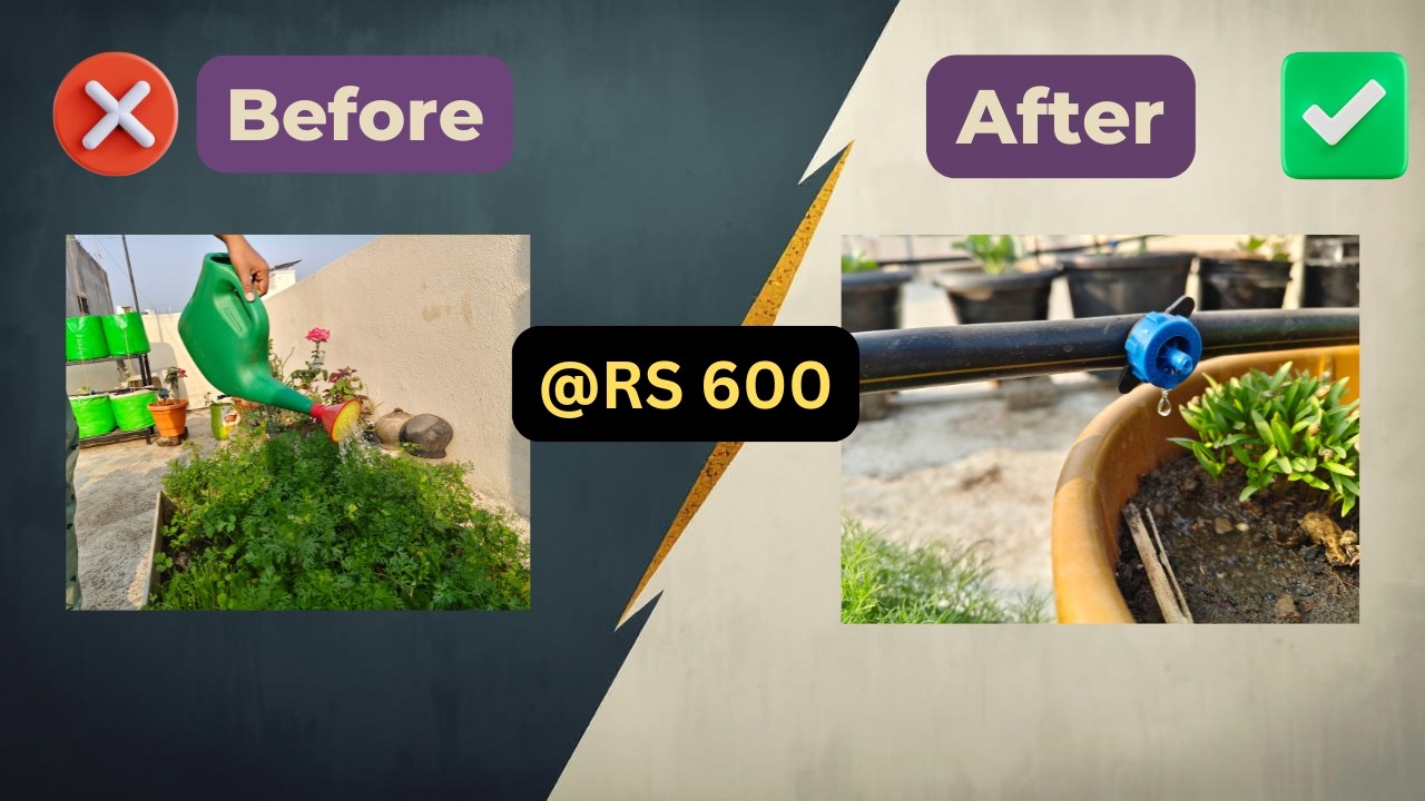 ₹2000 वाला System in ₹600 😲 | इतना सस्ता Smart Irrigation? terrace garden irrigation