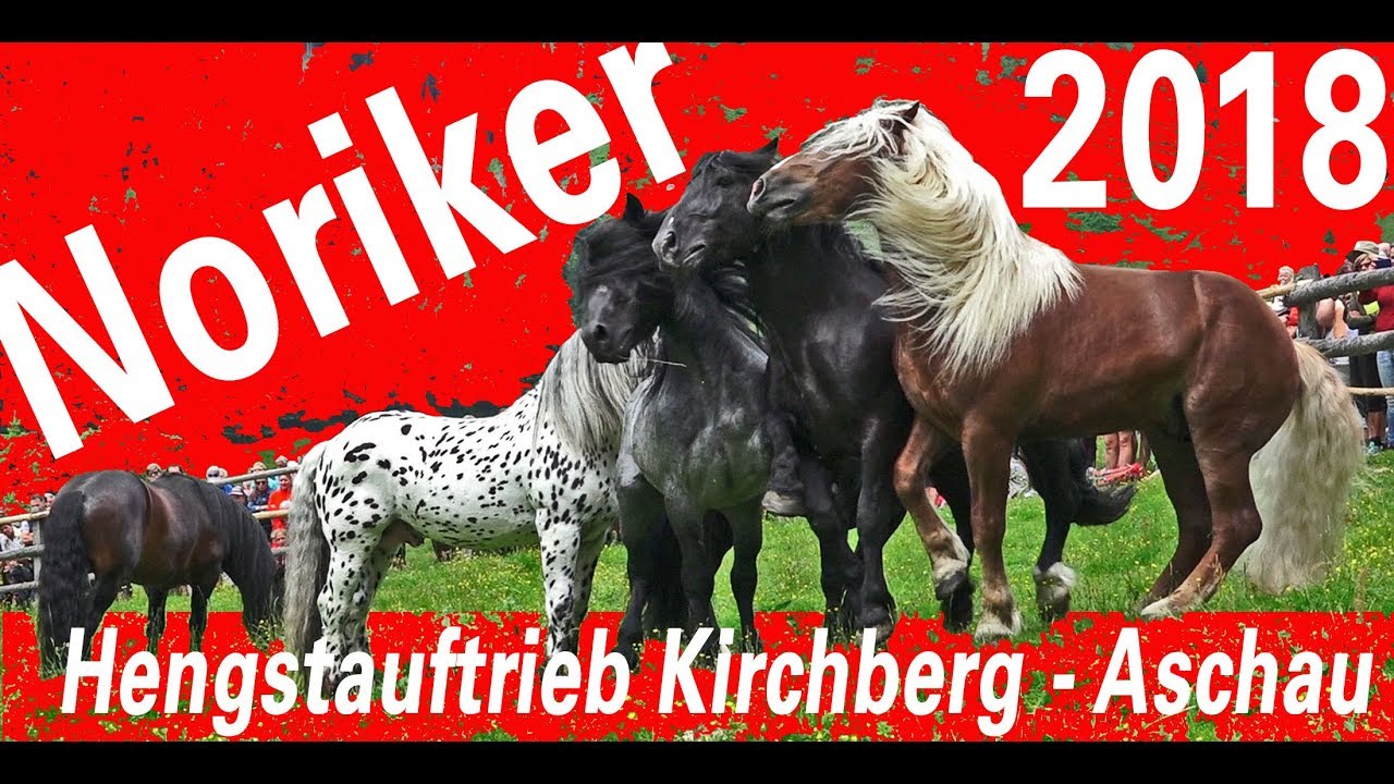 NORIKER HENGSTAUFTRIEB 2018 - Kirchberg in Tirol/Aschau