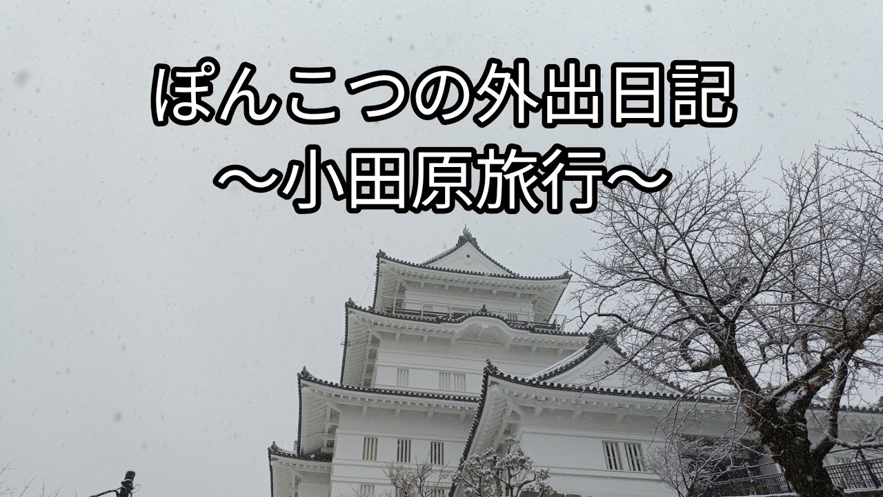 ぽんこつの外出日記〜小田原旅行〜