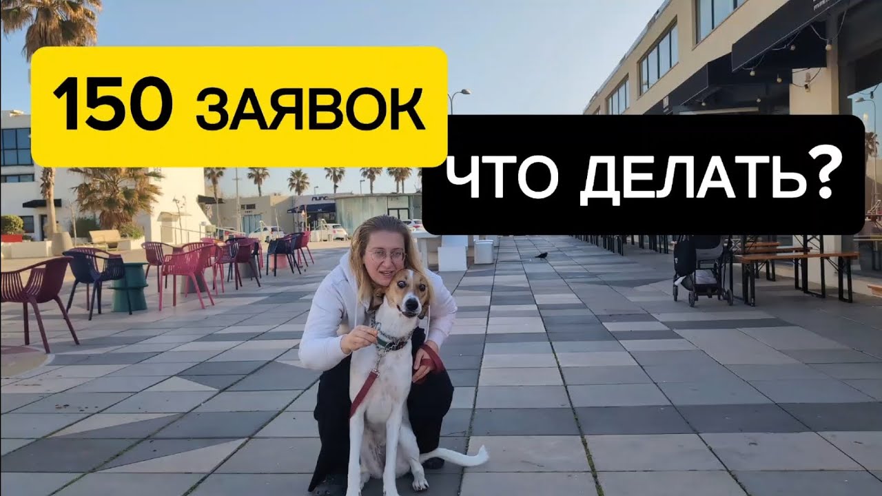 Мой пост стал вирусным: 150 заявок, дофаминовый шок и Пердолия Козлодоевна