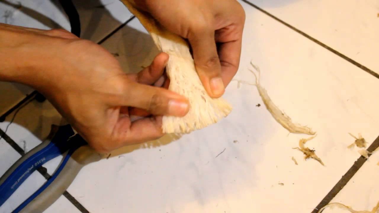 processing sinew from raw