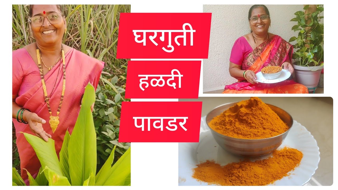 तुम्ही शहरात राहत असेल तरी ही घरच्या घरी हळदी  पिकऊन  हळदीची वर्षभरासाठी हळद पावडर बनवू शकता🟡