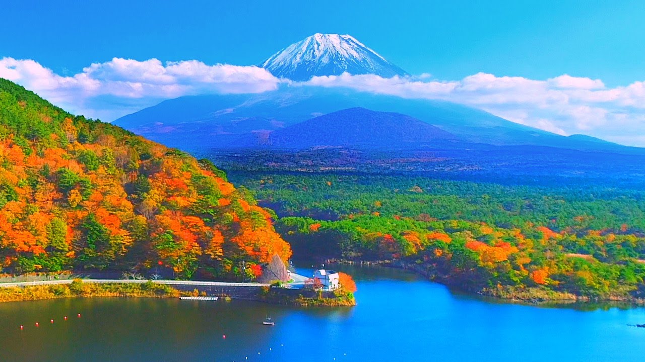 4K映像 絶景ドローン空撮「富士山 秋 紅葉の精進湖・青木ヶ原」日本の美しい四季 山梨県富士河口湖町 11月上旬 自然風景 富士五湖