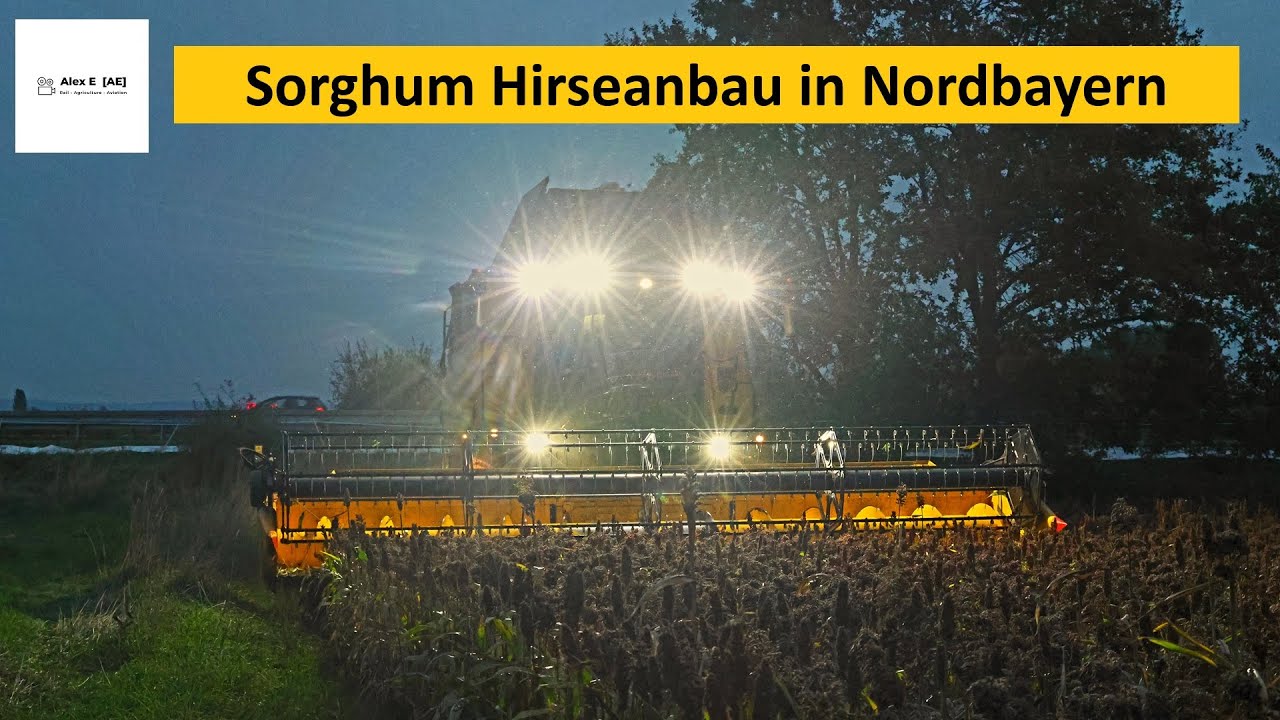 Sorghum Anbau und Ernte am Sonnenhof Zieger  |  Alex E  |  New Holland CR 8.80 Mähdrescher
