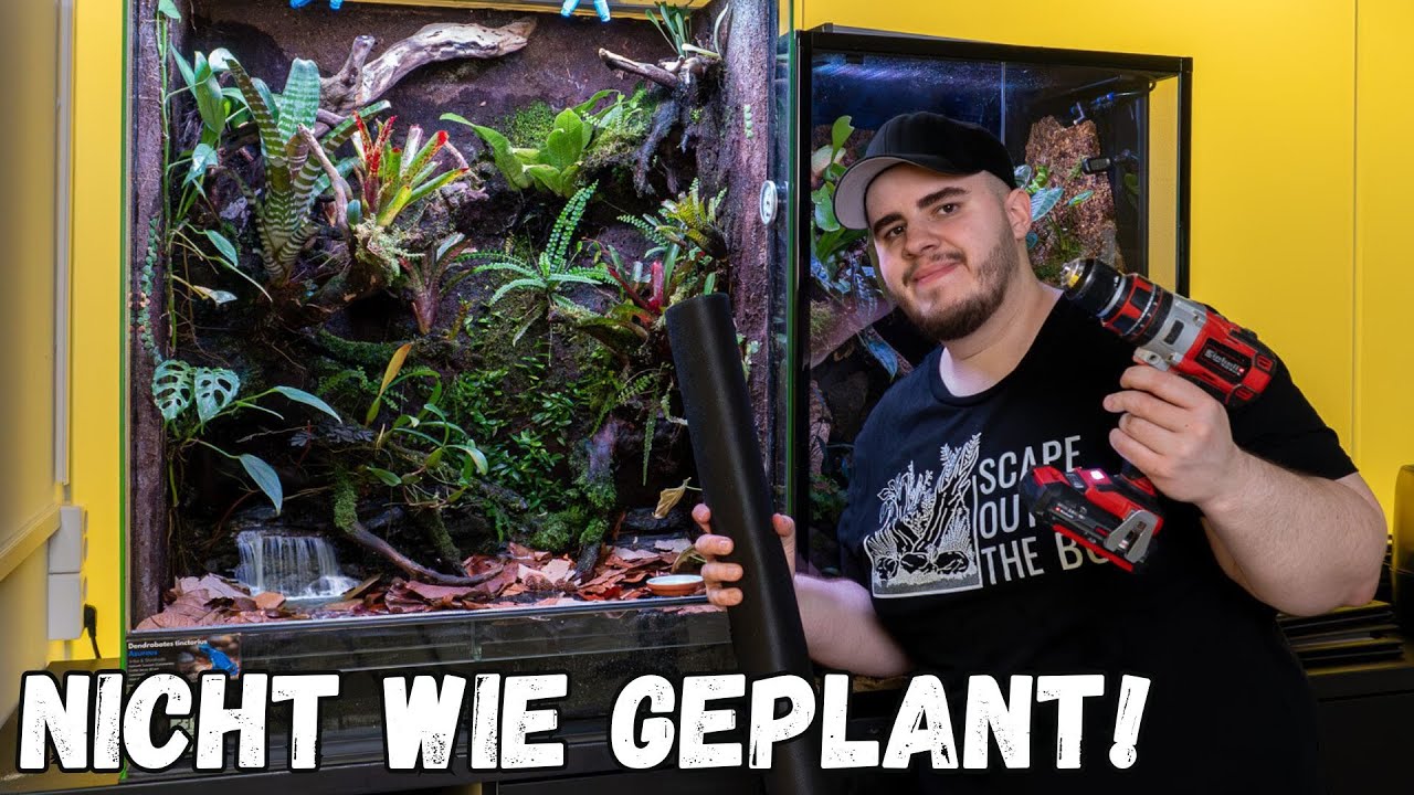 Ich wollte einen Wasserfall bauen… aber dann kam alles anders! (Terrarium-Umbau)