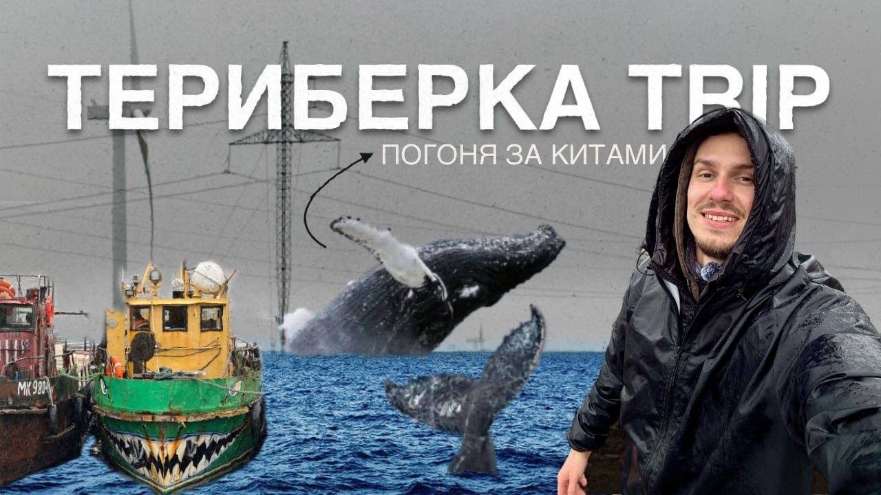 Териберка Trip | В погоне за китами