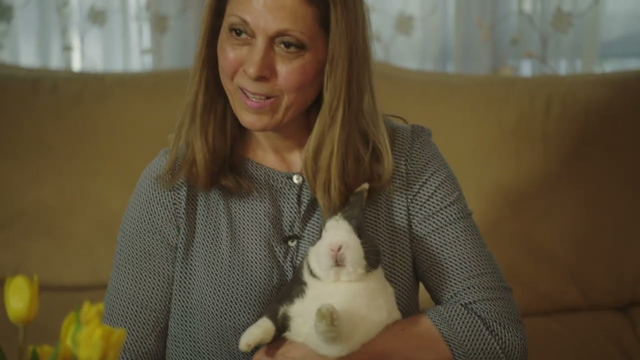 Caring for our Paralyzed Bunnies