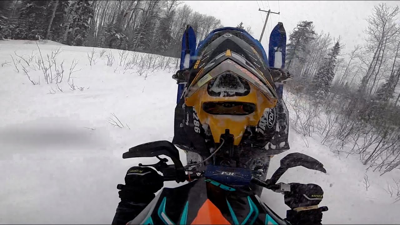 THE 600RS IS BACK!