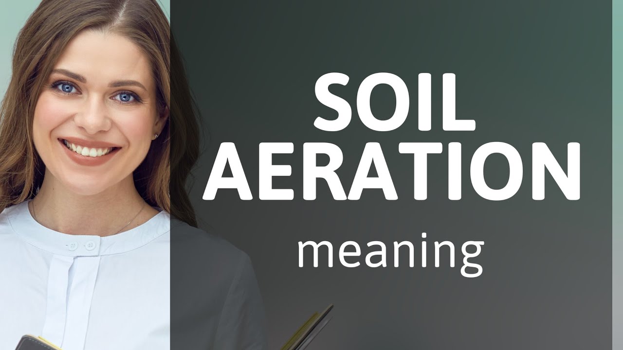 Understanding Soil Aeration: A Key to Healthy Gardens