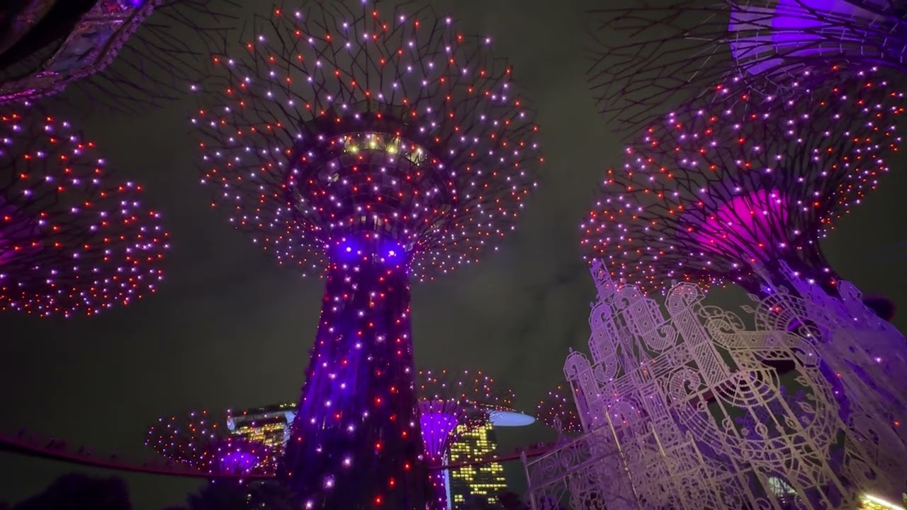 Garden Rhapsody at the Supertree Grove on November 25, 2025