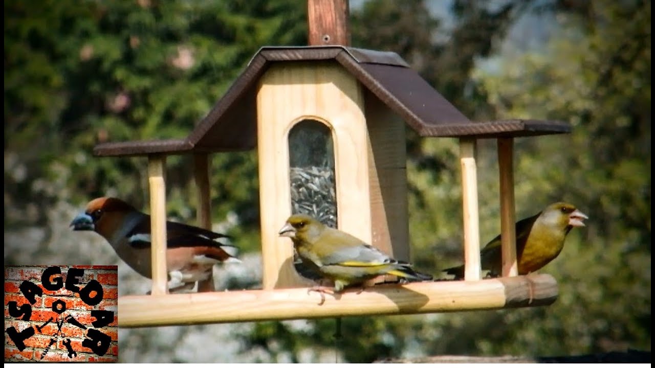 Ptač&iacute; krm&iacute;tko / DIY Bird feeder