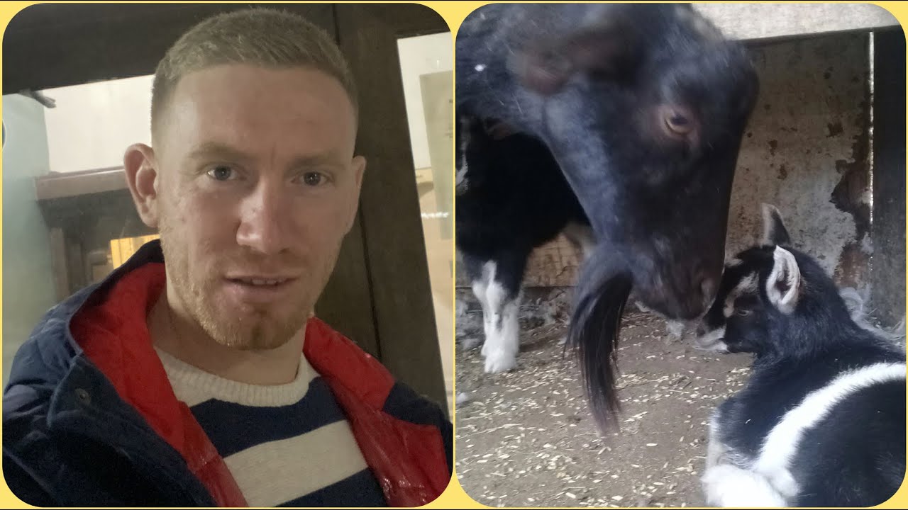 С ЧЕГО НАЧАТЬ КОЗОВОДСТВО? 🐐