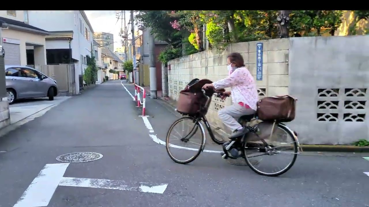 Residential Area  Ochiai, Shinjuku City