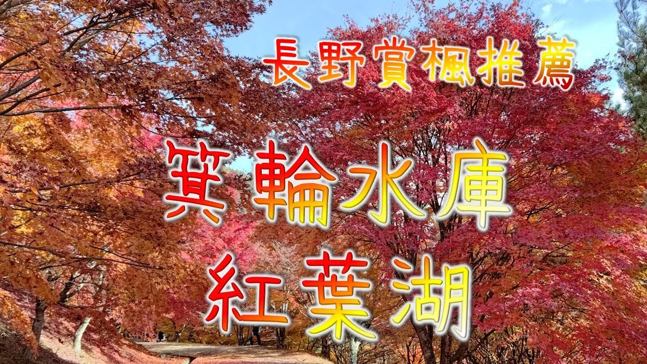 [日本旅遊] 長野 賞楓推薦  箕輪水庫紅葉湖