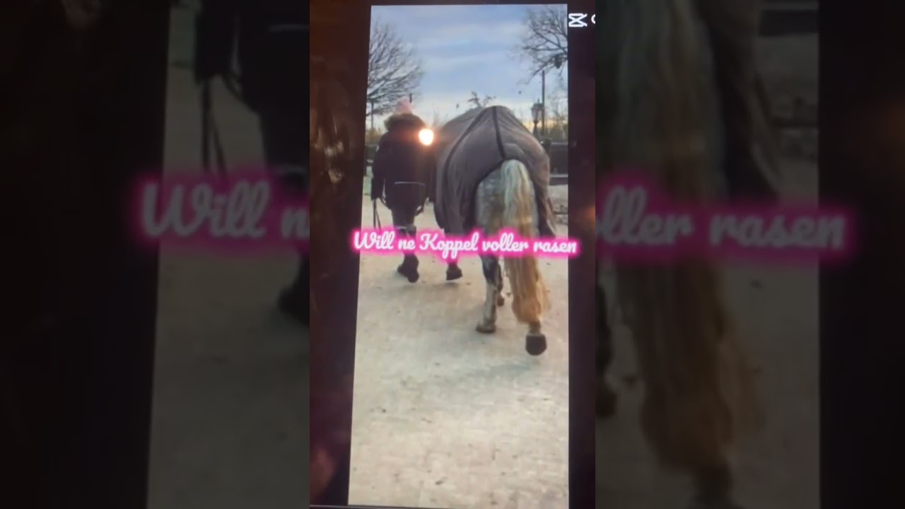 Die Videos sind alle mit Erlaubnis von Lizz hochgeladen