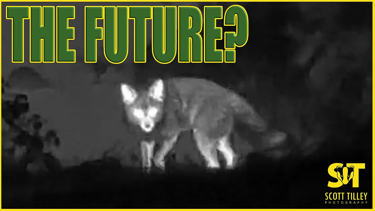 Is This the Future of Wildlife Photography?