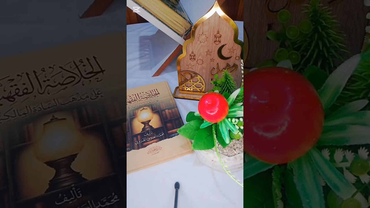 ١٩ فيفري ٢٠٢٦