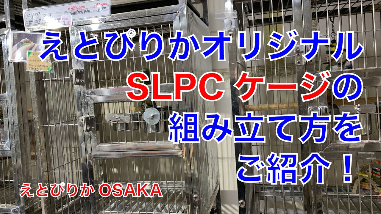 【えとぴりかOSAKA】SLPCケージの組み立て方！【オリジナルケージ】