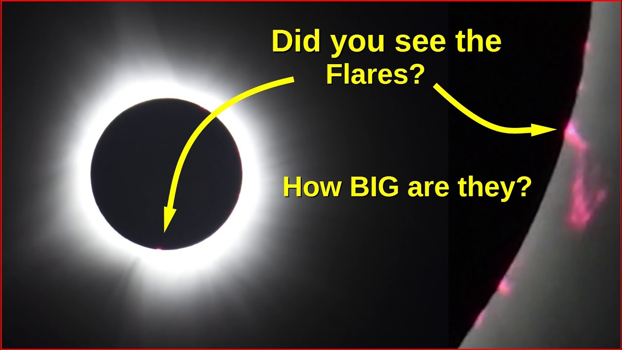 The 2024 Eclipse: What we all saw!