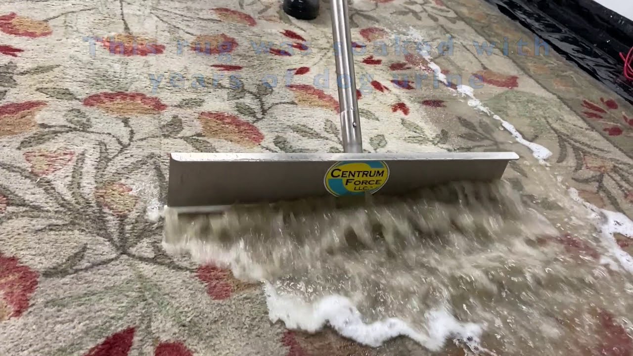 Removing Pet Urine From a Wool Rug