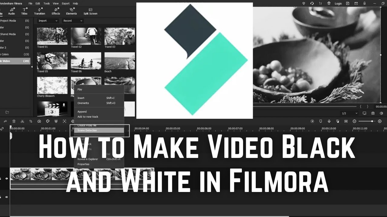 How to Make Video Black and White in Filmora