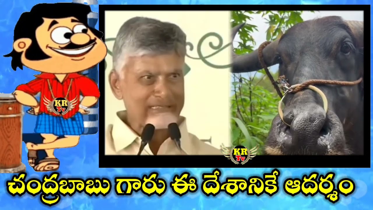 CM చంద్రబాబు నాయుడు గారిని ప్రతి రాజకీయ నాయకుడు ఆదర్శంగా తీసుకోవాలి 🤣