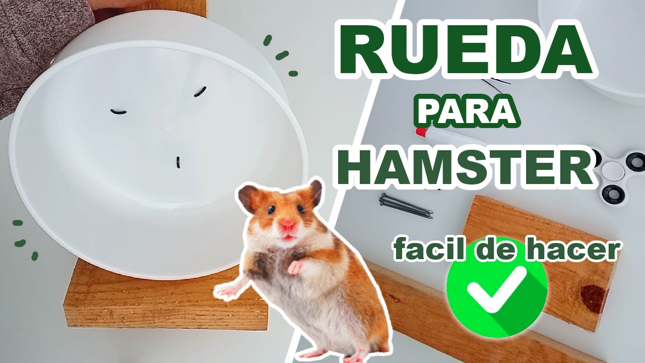 Como hacer una RUEDA CASERA para hamster fácil de hacer ✔️🐹