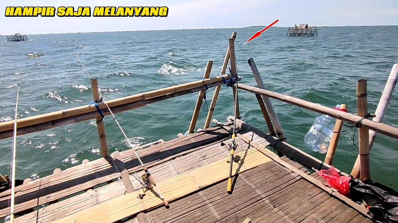 WEDAN...!!! KALO NGAK KE TAHUAN PASTI SUDAH HILANG JOARAN INI